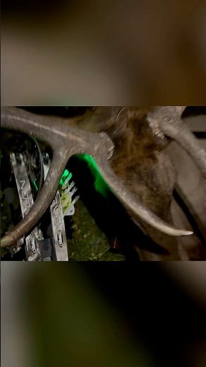 Archery elk hunting is more than just a hunt…it’s a JOURNEY! #elkhunting #archery #bowhunting #elk