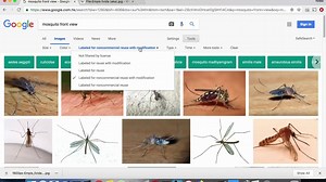 Make a 3D model from scratch using Dust3D