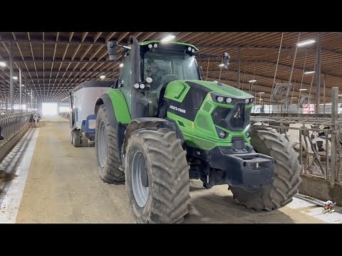 Feeding Dairy Cows a Total Mixed Ration