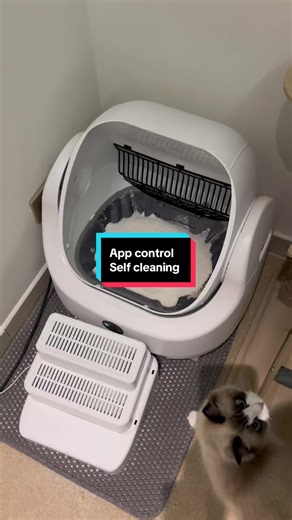 Self-Cleaning Cat Litter Box with App Control