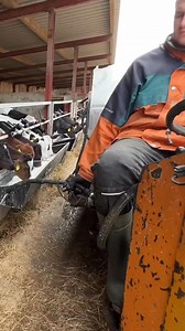 Respects 💪🏿! #elevage #bovins #bovin #boeufs #vacheslaitieres #Intensif #business @super fans Bio Farm Area Bio Farm Area | Bio Farm Area