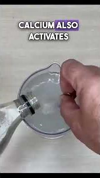 This Calcium Trick Supercharges Plant Growth!