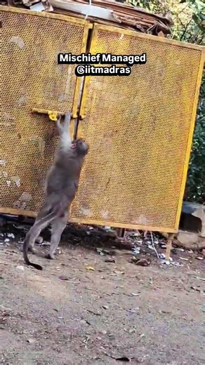 Mischief Managed @ IIT Madras