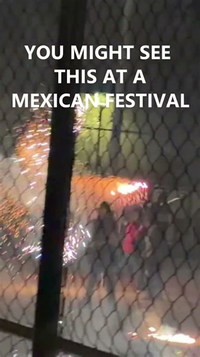 El Torito | Running With the Bull in México