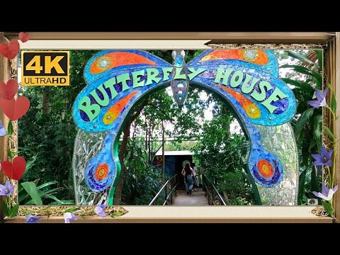 Butterfly House - Melbourne Zoo 4K - Go Pro 8 Australia