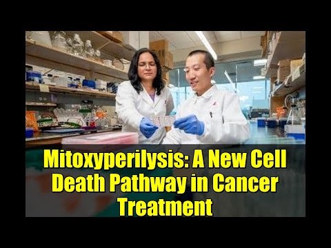 Mitoxyperilysis: A New Cell Death Pathway in Cancer Treatment