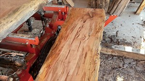 See What Happens When You Put A ROTTEN Log On The Sawmill | Out of the Woods Forestry
