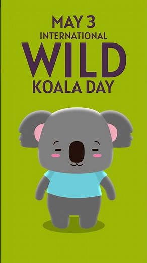 International Wild Koala Day 2025 #koala