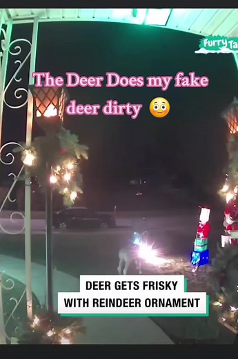 Hilarious Deer Prank Gone Wrong!