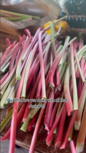 What to do with all that rhubarb??? #farmlife #lemonade