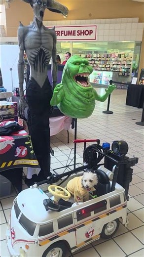 559 ghostbusters at weekend blender, clovis california