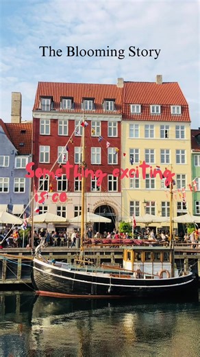 A little sparkle✨ is coming your way… only at The Blooming Story. Stay tuned.💋❤️