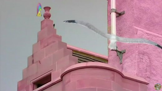 CBeebies | Balamory - S01 Episode 60 (Halloween)