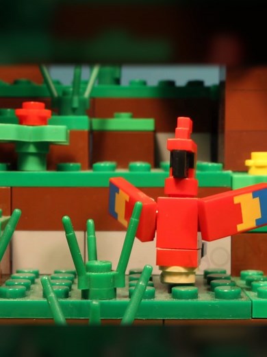 WTF! #stopmotion #lego #minecraft