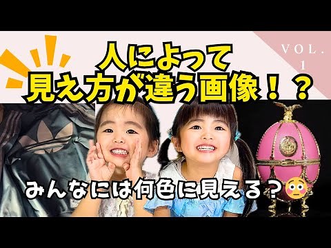 【人によって見え方が違う画像】みんなは何色に見える⁉️😳