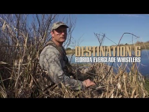 Florida Duck Hunts with UWC Adventures
