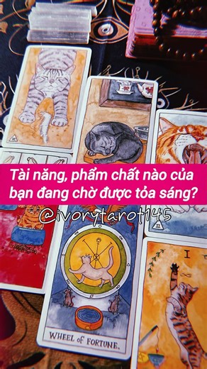 🔮Thông điệp: • Có một khả năng rất đặc biệt trong bạn: khả năng dẫn dắt bản thân và người khác đi qua những giai đoạn khó khăn của cuộc sống. Bạn hiểu cảm giác lạc lối, hiểu cảm giác phải rời bỏ những điều quen thuộc để bước sang một vùng nước mới. Chính vì đã từng trải qua những hành trình chuyển mình như vậy, bạn mang trong mình năng lượng của người có thể chỉ đường, an ủi và giúp người khác nhìn thấy lối đi phía trước. • Bên trong bạn là một trái tim cực kỳ nhạy cảm và giàu sự thấu hiểu. Bạn