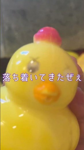 【アンダのおうち】伊豆観光 2025年ファミリー旅行にも最適。1日ホテルから出なくても大満足！アンダのおうち伊豆高原の魅力を徹底紹介。#shorts #伊豆観光 #旅行