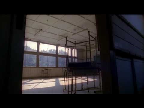 TRF / Life signs again