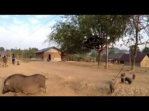 Everyday life of Hmong villagers in Laos