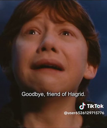 Spiders!#Harry Potter and the Chamber of Secrets | aragog harry potter