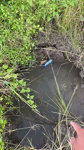 557K views · 10K reactions | angkat tajur botol selalu dapat | Riki Andrian | Facebook