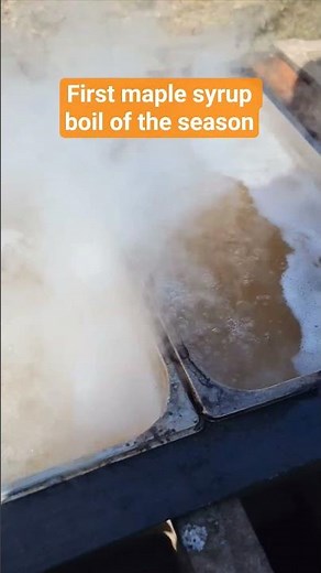 Maple Syrup, First Boil of 2025 Season