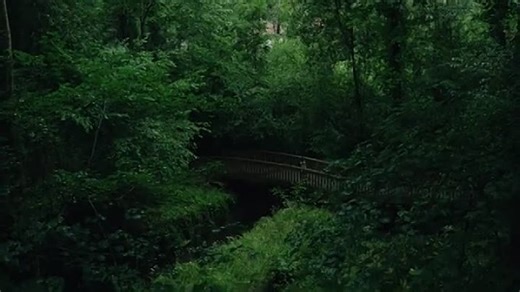 𝗖𝗥𝗘𝗔𝗧𝗘. - a short film