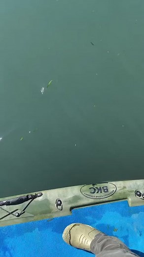 Exploring the Waters with Our SUP Board