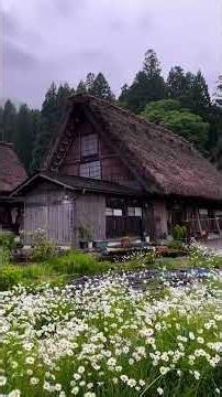Most Beautiful Village In Japan, Shirakawa-Go