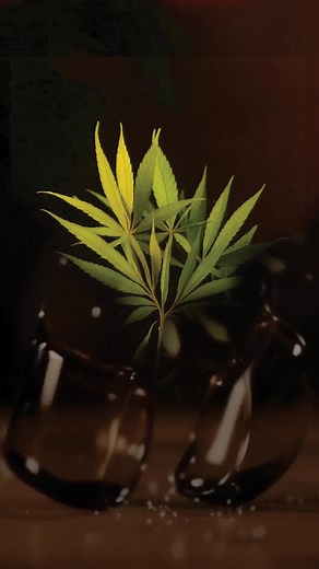 336K views · 138 reactions | Combining the best principles of Ayurveda with intensive lab research. Say goodbye to stress, insomnia and chronic pains and welcome improved immunity with our full spectrum oil. Order Now! | Awshad | Facebook