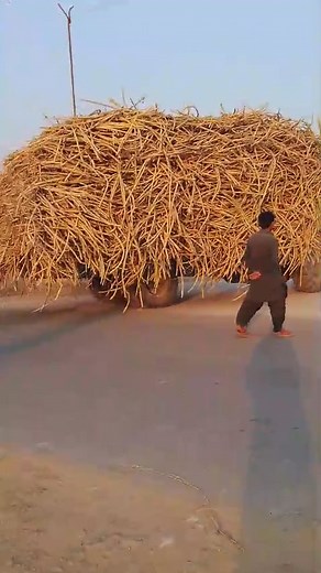 7.7K views · 147 reactions | جے ڈی ڈبلیو شوگر ملز #فاسٹ_ٹریڈ سروسز 0300 7540097 | FAST TRADE | Facebook