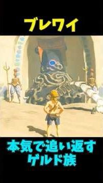 【ブレワイ】 ゲルド族の本気編 #ゼルダの伝説 #zelda #ゼルダの伝説ブレスオブワイルド #ゼルダの伝説ティアーズオブザキングダム