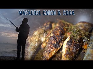 Mackerel Catch & Cook! Steamed & Fried Fish Recipe