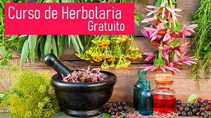 Curso de Herbolaria en línea GRATUITO 😍 . Aprende como manejar las Plantas Medicinales desde cero. | Fiteral Virtual
