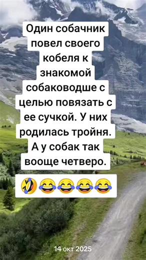 #😂😂😂 #🤣🤣🤣 #шутка #юмор #прикол | thanksgiving humor