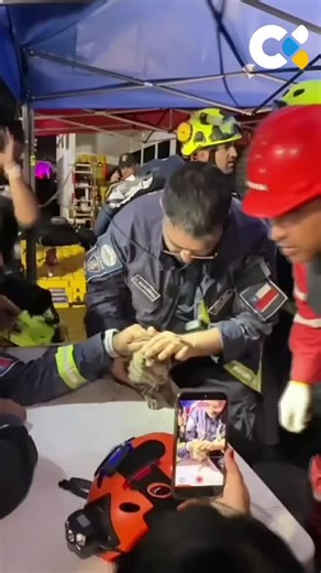 🐈 Rescatistas costarricenses han sacado con vida de los escombros a un gato en Venezuela Fue durante las labores de rescate de Hernán Gil, en el sector Playa Grande de Catia la Mar 🇻🇪 📲Recuerda que puedes seguir la última hora en RTVC.es 🔗Más información en nuestra BIO #venezuela #terremoto #terremotovenezuela #RTVC
