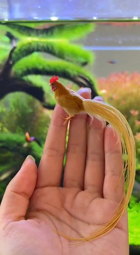 Unlock New Pets in Fish Hobby!