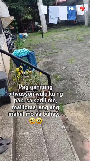 Nhing Ruiz (@nhing.ruiz)’s video of Alabai Dog