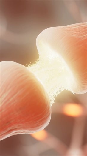 3D Microanatomy by VOKA: A Stunning Exploration of Cells and Tissues