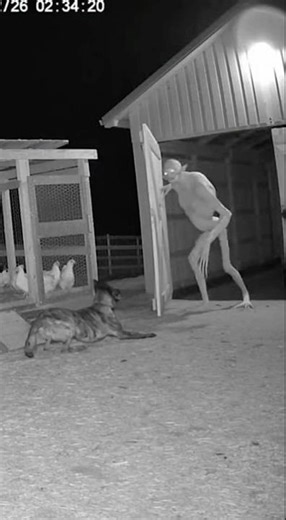 Guard Dog vs Creepy Creature 👀😱