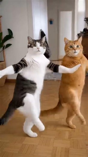 Funny Cat Dance 😹💃 #3dcartoon #dancingcat #kidscartoon