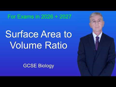 GCSE Biology Revision "Surface Area to Volume Ratio"