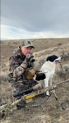 Coyote Hunting: Learn Pro Calling Tips and Become a Better Predator Hunter