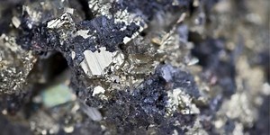 Zinc Poisoning Alert for Pets: Signs, Treatment, and Prevention