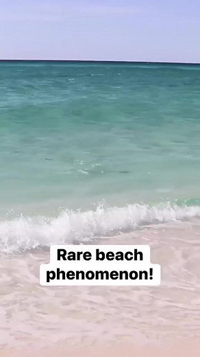 718K views · 3.1K reactions | Crazy when this happens! #fishing #beachfishing #surffishing #beach #beachbum | Bama Beach Bum | Facebook