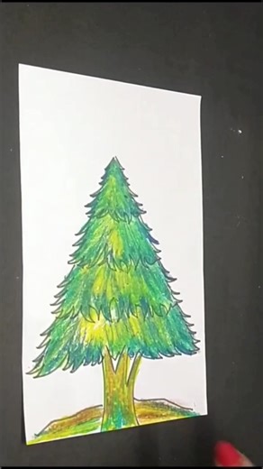 How to make an cone tree on an A4 sheet with oil pastel colours