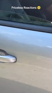 135K views · 4.2K reactions | Most Wholesome Puppy Surprise Reactions #puppy #puppylove #surprisegift #wholesome | Metdaan Animals | Facebook