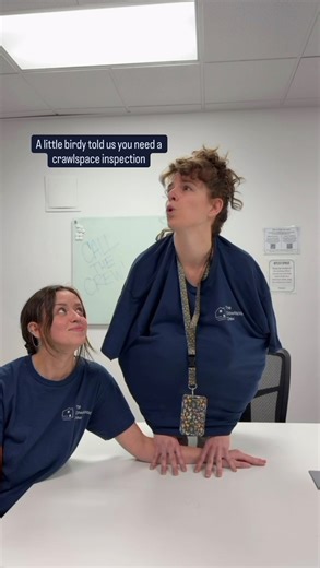 A little birdy told us you need your attic & crawlspace inspected… Call our crew to schedule today - (503) 987-3447 •large animal damage •rodent damage •dead animal removal •crawlspace cleanup •attic cleanup •sewage cleanup & water damage •mold remediation •fire & smoke damage Our team handles it ALL! #pdxhomes #safespace #portlandrestored | The Crawlspace Crew