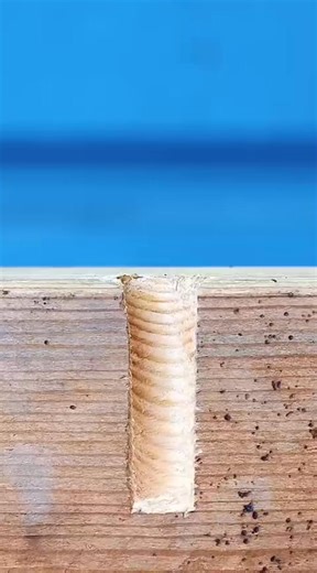 Brilliant Glue Stick Hack for Wall Mounting! #toolstour #shortvideo #viralvideo #shorts #trendingvideo #realvideo #viral #tip #tips #lifehack #lifehack #stye #reels #shorts #wood #woodworking #handmade #design #art #woodwork #carpenter #woodart #interiordesign #homedecor #furniture #home #diy #decor #carpentry #ToolTips3 #tool_tips #tooltips #tools | Short video